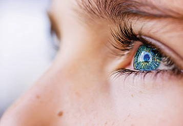 Kopp-Kirsamer - Seitenbild Gesicht Auge